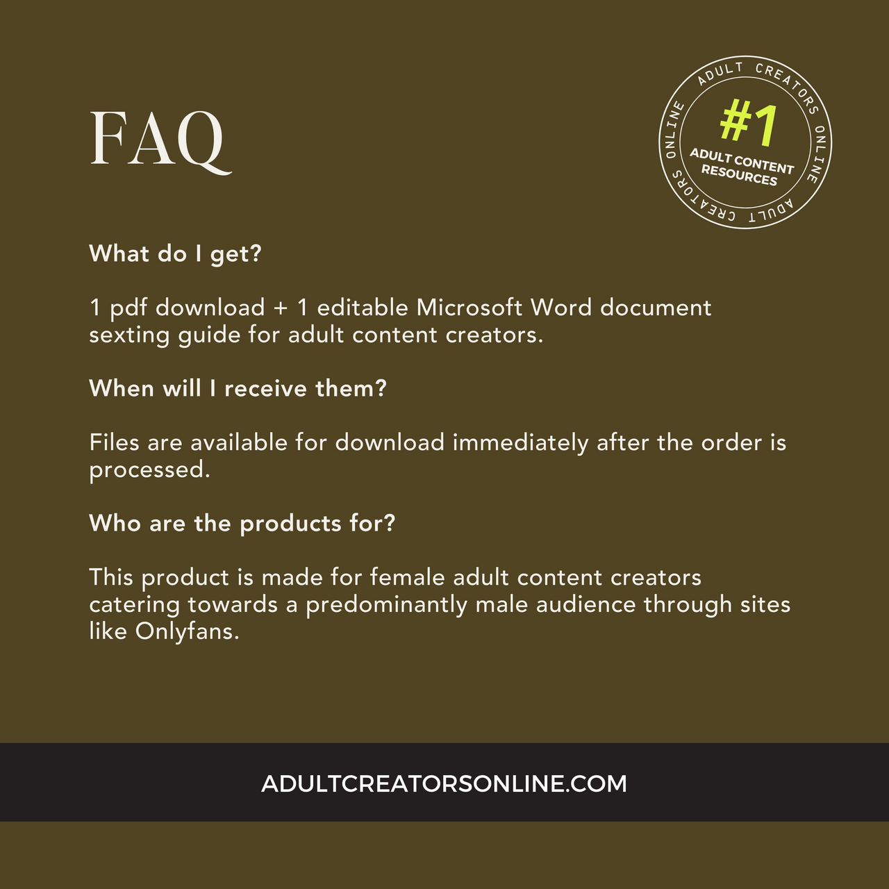 Sexting Guide For Adult Sellers